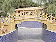 公司新闻